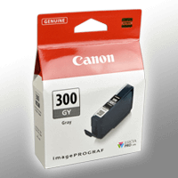 Canon Tinte 4200C001 PFI-300GY grey
