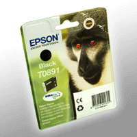 Epson Tinte C13T089140 schwarz T0891 (6ml) Image