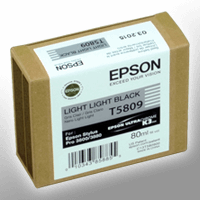 Epson Tinte C13T580900 light light black T5809