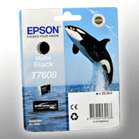 Epson Tinte C13T760840 matt schwarz T7608