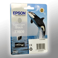 Epson Tinte C13T760940 light light black T7609