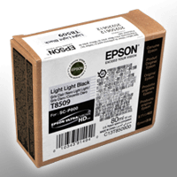 Epson Tinte C13T850900 light light black T8509